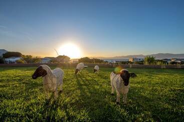 住宿加早餐  Benguela