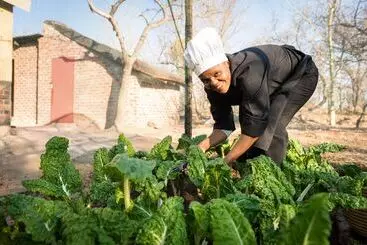 ホテル Bushwa Game Lodge