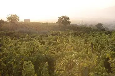 コテージ Vesuvio Inn Guest House E Wine Experience