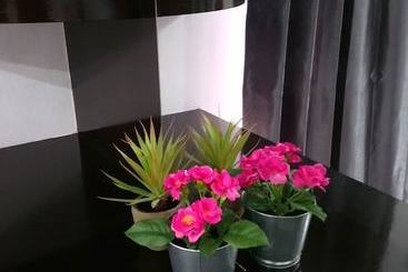 Apartamentos turísticos C U Homestay Bukit Indah