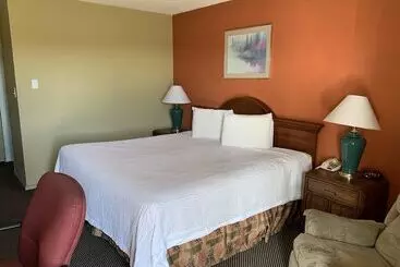 モーテル Executive Inn Dodge City, Ks