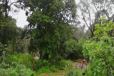 Rezidans Sisira Homestay Sigiriya