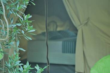 Hotel Base Camp Wilpattu