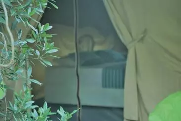 Hotelli Base Camp Wilpattu