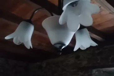 Landhotel El Bolero Agroturismo