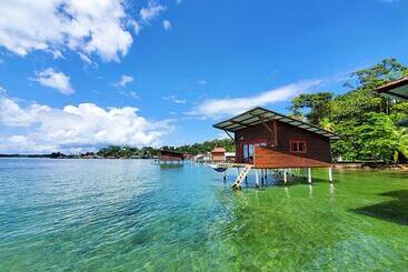 Herberge The Sea Monkey