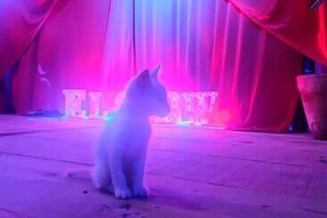 Hotel La Máxima & Lgbt