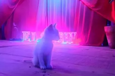 Hotel La Máxima & Lgbt