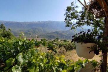 بنسيون Bujtina Polimen