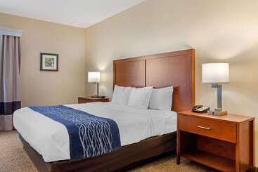 فندق Comfort Inn Douglasville  Atlanta West