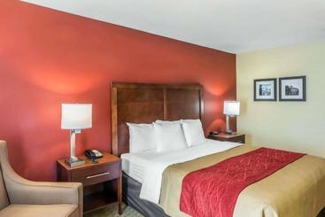 酒店 Comfort Inn Redwood City