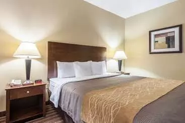 Отель Quality Inn