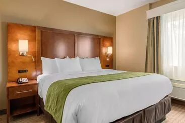 ホテル Comfort Suites San Antonio Airport North