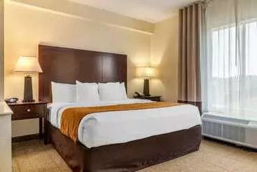 فندق Comfort Suites Gastonia Charlotte