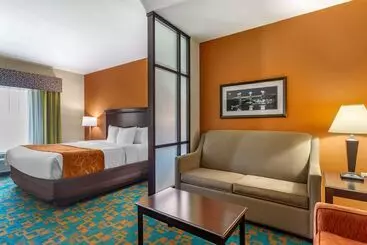 فندق Comfort Suites Knoxville West  Farragut