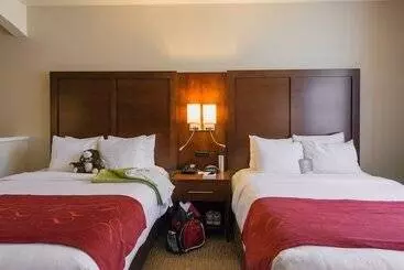 호텔 Comfort Suites Springfield Riverbend Medical