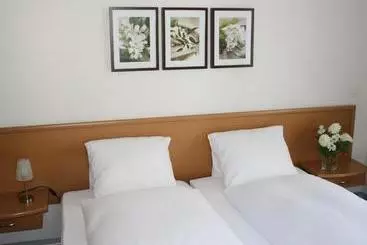 Hotel Des Alpes
