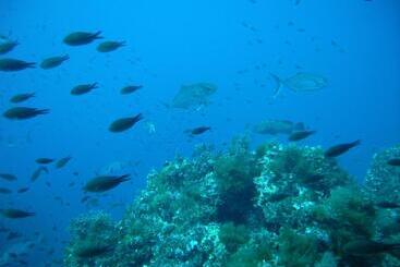Pensão Villaggio Est Affittacamere