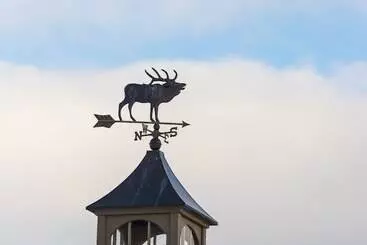 Отель Elk Refuge Inn