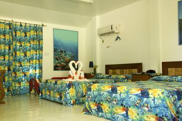 Hotel Pacific Treelodge Resort