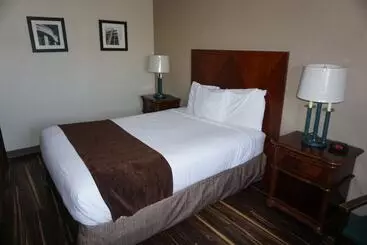 فندق Floral Park Motor Lodge