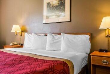 酒店 West End Lodge