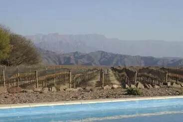 Chañarmuyo Hotel De Vino