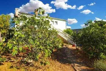 Appartements touristiques Apartments Olivera 286