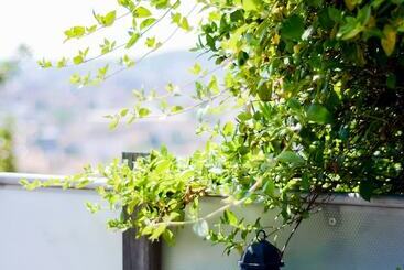 Turistlägenheter La Terrasse Du Belvédère Appartement 3 Chambres Nancy  Avec Stationnement