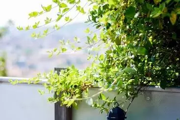 Turistihuoneistot La Terrasse Du Belvédère Appartement 3 Chambres Nancy  Avec Stationnement