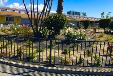 Sunshine Village Motel