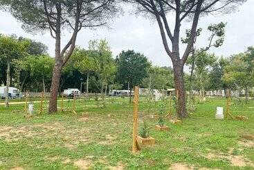 Отель Camping 3 Estrellas Costa Brava