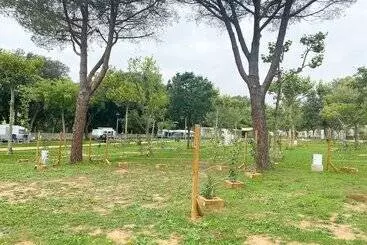 Hotel Camping 3 Estrellas Costa Brava