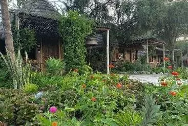 Hotel Swara Acacia Lodge