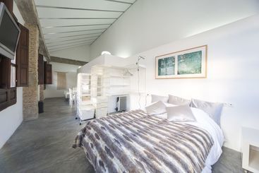 Apartamento Loft Romanilla Ii  Centro Ciudad