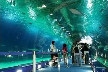 ツーリストアパートメント Porto 3 Bedroom Beach Apartment