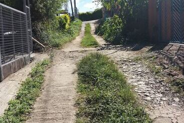 Guest Haven House Bed & Breakfast