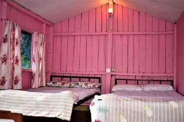 Hotel Jungle Crown Organic Homestay