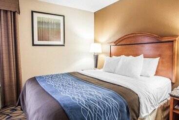 בית מלון כפרי Comfort Inn Bourbonnais Near I57