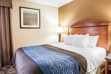 호텔 Comfort Inn Bourbonnais Near I57