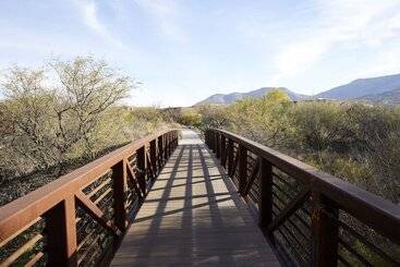 Miraval Resort & Spa Adults Only All Inclusive