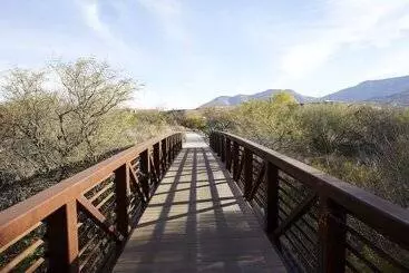 Miraval Resort & Spa   Adults Only All Inclusive