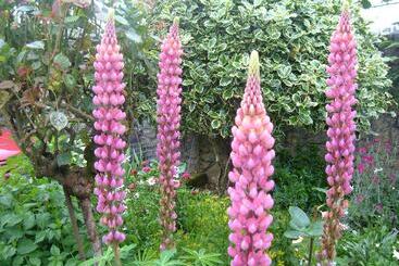 Pensão Casa Xan Da Pena