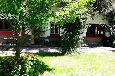 تختخواب و صبحانه Pura Vida Hostel