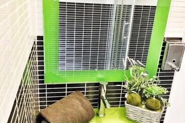 Pensione Bunga Love   Adults Only