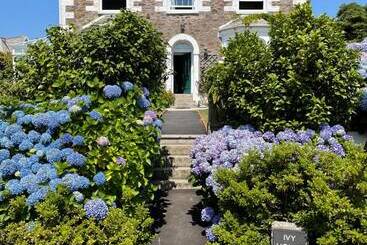 Ivy House Cornwall B&b