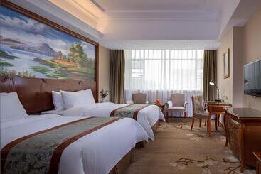 בית מלון כפרי Vienna