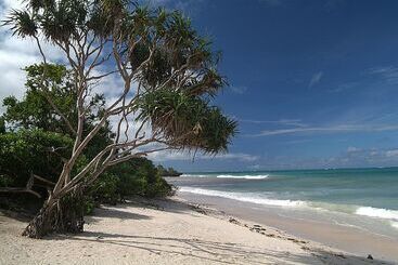 آپارتمانهای توریستها Apple Mango Apartments