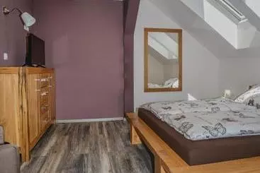 Pension Ta Fabrika Restavracija,pizzerija In Prenočišča