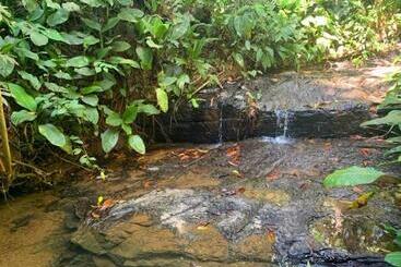 פנסיון Private Jungle “loft Del Rio” River Access